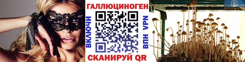 Псилоцибиновые грибы Cubensis  Сольвычегодск 